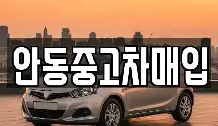 경상북도 안동시 신안동 중고차매매 전문 안동중고차매입