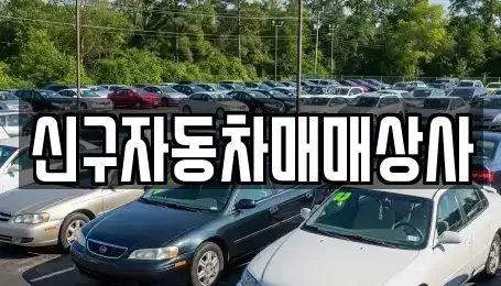 경상북도 영천시 자양면 중고차매매 전문 신구자동차매매상사