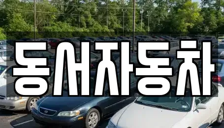 경상북도 포항시 북구 용흥동 중고차 전문 동서자동차