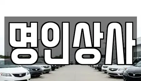 광주광역시 동구 대인동 중고차매매 전문 명인상사
