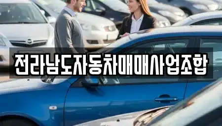 광주광역시 서구 양동 중고차매매 전문 전라남도자동차매매사업조합