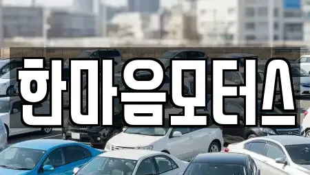 광주광역시 서구 양동 중고차매매 전문 한마음모터스