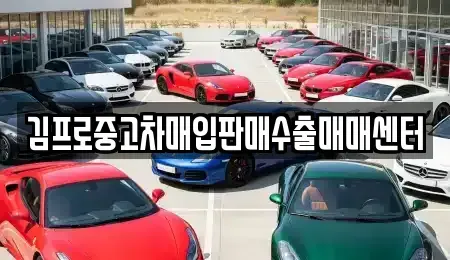 광주광역시 서구 양동 중고차매입 전문 김프로중고차매입판매수출매매센터
