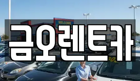 대구 단기렌트카 전문 금오렌트카