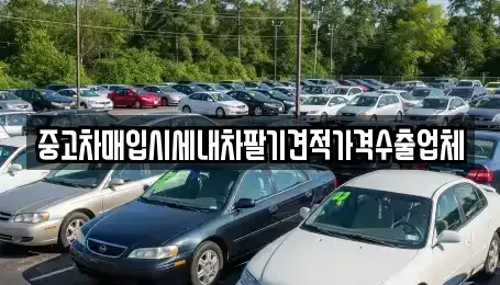 대구 달서구 도원동 중고차매입 전문 중고차매입시세내차팔기견적가격수출업체