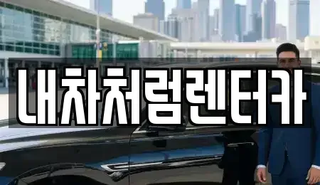 대구 동구 동내동 렌트카 전문 내차처럼렌터카