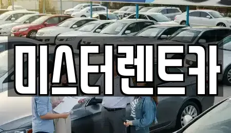 대구 렌트카 전문 미스터렌트카