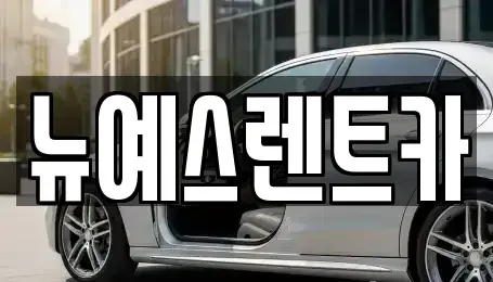대구 서구 원대동1가 렌트카 전문 뉴예스렌트카