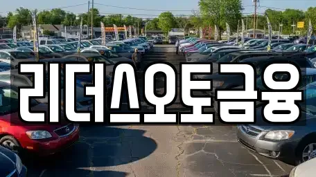 대구 서구 원대동1가 장기렌트카 전문 리더스오토금융