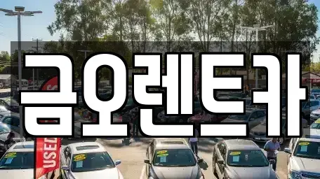 대구 수성구 단기렌트카 전문 금오렌트카