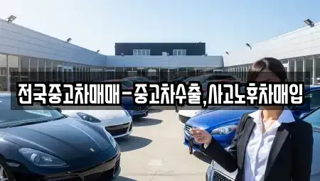 대구 수성구 사월동 중고차 전문 전국중고차매매-중고차수출,사고노후차매입