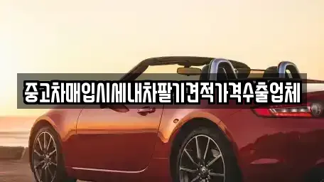 대구 수성구 사월동 중고차매입 전문 중고차매입시세내차팔기견적가격수출업체