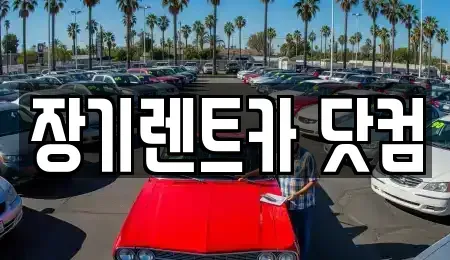 대구 수성구 장기렌트카 전문 장기렌트카 닷컴
