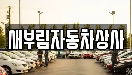 대구 수성구 중고차매매 전문 새부림자동차상사