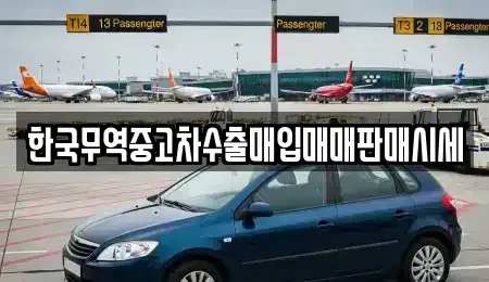 대구 수성구 중고차매매 전문 한국무역중고차수출매입매매판매시세