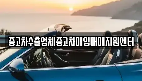 대구 수성구 중고차매입 전문 중고차수출업체중고차매입매매지원센터