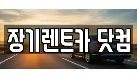 대구 장기렌트카 전문 장기렌트카 닷컴