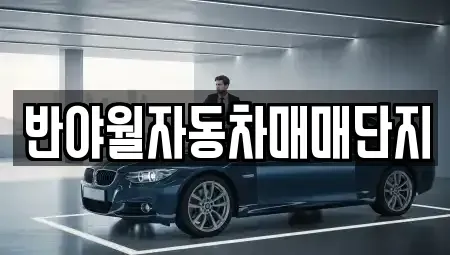 대구 중고차 전문 반야월자동차매매단지