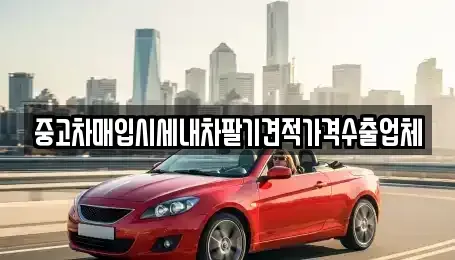 대구 중고차매입 전문 중고차매입시세내차팔기견적가격수출업체