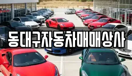 대구광역시 동구 불로동 중고차 전문 동대구자동차매매상사