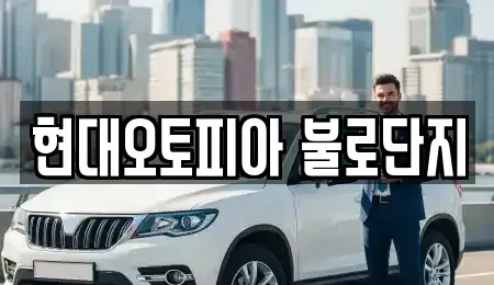 대구광역시 동구 불로동 중고차,렌트카,중고차매입,중고차매매,장기렌트카,단기렌트카