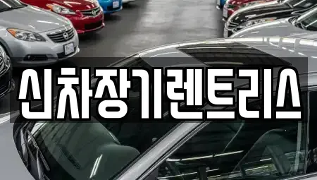 대구광역시 북구 노원동1가 렌트카 전문 신차장기렌트리스