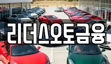 대구광역시 북구 노원동1가 장기렌트카 전문 리더스오토금융