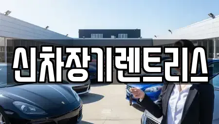 대구광역시 서구 원대동3가 렌트카 전문 신차장기렌트리스