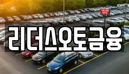 대구광역시 서구 원대동3가 장기렌트카 전문 리더스오토금융