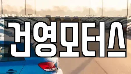 대구광역시 서구 원대동3가 중고차매매 전문 건영모터스