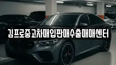 대구광역시 서구 원대동3가 중고차매입 전문 김프로중고차매입판매수출매매센터