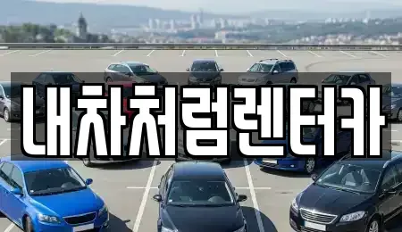 대구광역시 수성구 파동 렌트카,단기렌트카,장기렌트카,중고차,중고차매매,중고차매입
