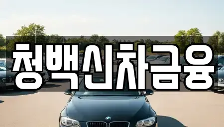 대구광역시 수성구 파동 렌트카 전문 청백신차금융