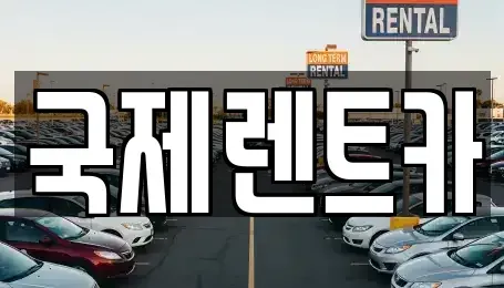 대구광역시 수성구 파동 장기렌트카 전문 국제렌트카