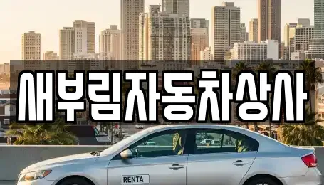 대구광역시 수성구 파동 중고차매매 전문 새부림자동차상사