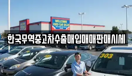 대구광역시 수성구 파동 중고차매매 전문 한국무역중고차수출매입매매판매시세