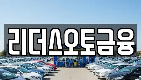 대구광역시 중구 서내동 장기렌트카 전문 리더스오토금융