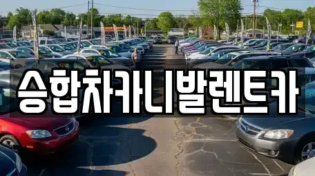 대전 유성구 계산동 렌트카 전문 승합차카니발렌트카