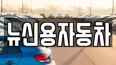 대전광역시 대덕구 신대동 중고차 전문 뉴신용자동차
