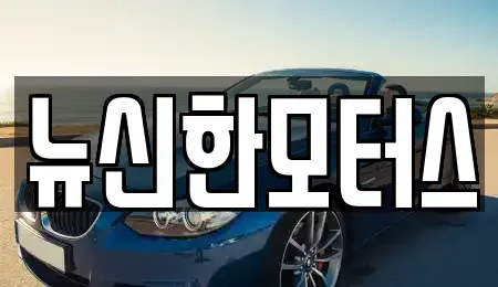 대전광역시 대덕구 신대동 중고차 전문 뉴신한모터스