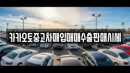대전광역시 대덕구 신대동 중고차매입 전문 카카오토중고차매입매매수출판매시세