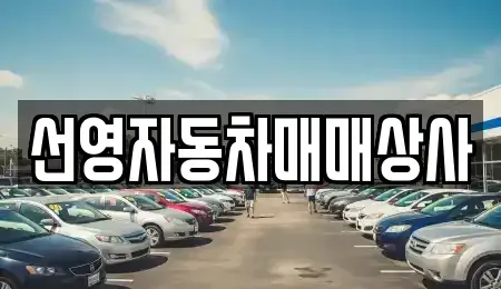 대전광역시 유성구 원신흥동 중고차 전문 선영자동차매매상사