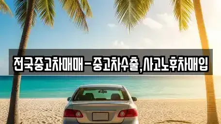 대전광역시 유성구 원신흥동 중고차 전문 전국중고차매매-중고차수출,사고노후차매입