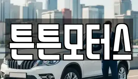 대전광역시 유성구 원신흥동 중고차 전문 튼튼모터스