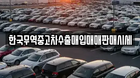 대전광역시 유성구 원신흥동 중고차매입 전문 한국무역중고차수출매입매매판매시세