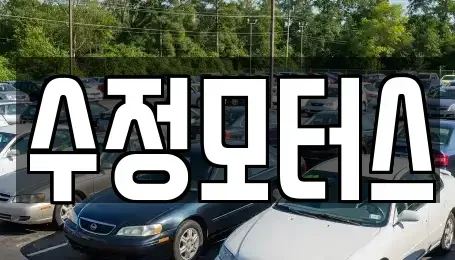 대전광역시 중구 대사동 중고차 전문 수정모터스