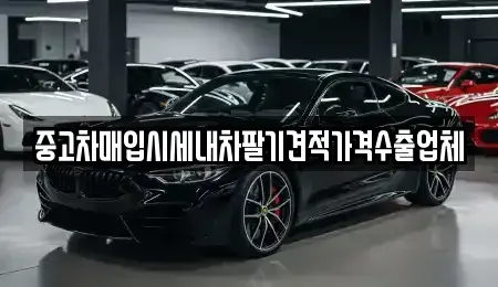 대전광역시 중구 대사동 중고차매입 전문 중고차매입시세내차팔기견적가격수출업체