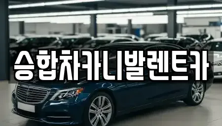 대전광역시 중구 무수동 렌트카 전문 승합차카니발렌트카