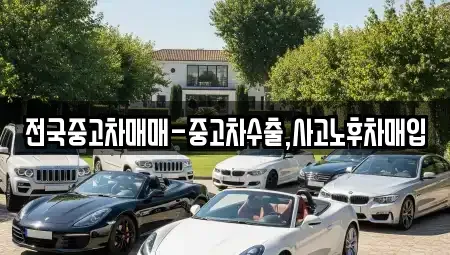 대전광역시 중구 무수동 중고차 전문 전국중고차매매-중고차수출,사고노후차매입