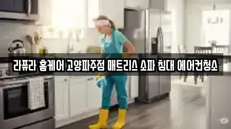라퓨라 홈케어 고양파주점 매트리스 소파 침대 에어컨청소